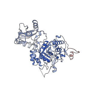 24452_7rgm_G_v1-2
HUMAN RETINAL VARIANT IMPDH1(546) TREATED WITH ATP, IMP, NAD+, OCTAMER-CENTERED