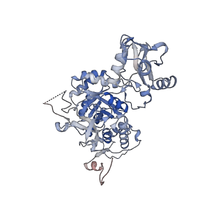 24452_7rgm_H_v1-2
HUMAN RETINAL VARIANT IMPDH1(546) TREATED WITH ATP, IMP, NAD+, OCTAMER-CENTERED