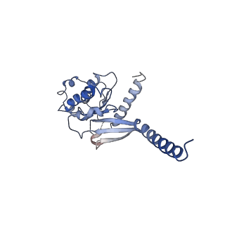 24453_7rgp_A_v1-0
cryo-EM of human Glucagon-like peptide 1 receptor GLP-1R bound to tirzepatide