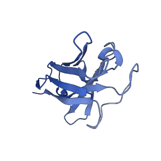 24453_7rgp_N_v1-0
cryo-EM of human Glucagon-like peptide 1 receptor GLP-1R bound to tirzepatide