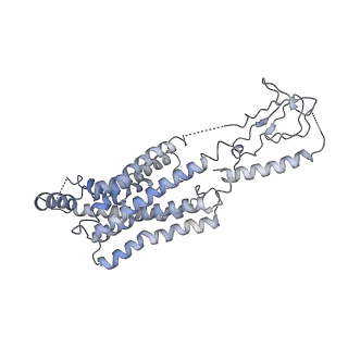 24453_7rgp_R_v1-0
cryo-EM of human Glucagon-like peptide 1 receptor GLP-1R bound to tirzepatide