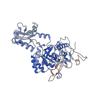 24454_7rgq_B_v1-2
HUMAN RETINAL VARIANT IMPDH1(546) TREATED WITH GTP, ATP, IMP, NAD+; INTERFACE-CENTERED