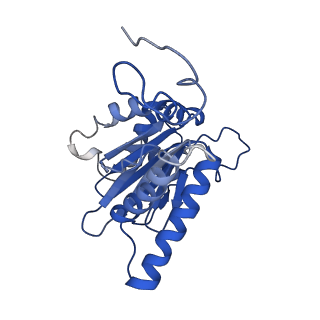 4877_6rgq_A_v1-2
Human 20S Proteasome