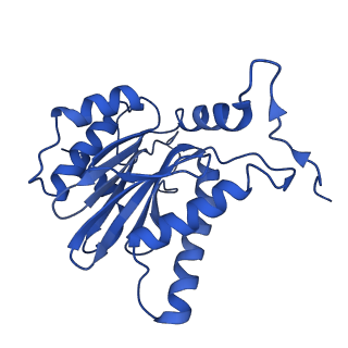 4877_6rgq_B_v1-2
Human 20S Proteasome