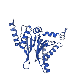 4877_6rgq_C_v1-2
Human 20S Proteasome