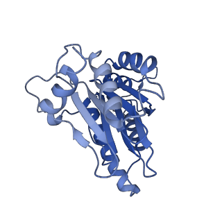 4877_6rgq_D_v1-2
Human 20S Proteasome