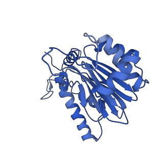 4877_6rgq_E_v1-2
Human 20S Proteasome