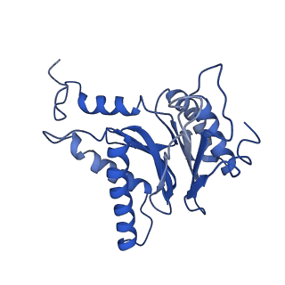 4877_6rgq_F_v1-2
Human 20S Proteasome