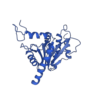 4877_6rgq_G_v1-2
Human 20S Proteasome