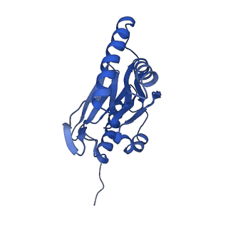 4877_6rgq_H_v1-2
Human 20S Proteasome