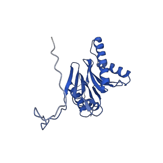 4877_6rgq_I_v1-2
Human 20S Proteasome