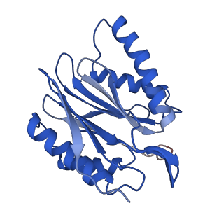 4877_6rgq_J_v1-2
Human 20S Proteasome