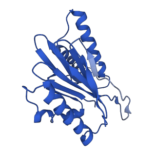 4877_6rgq_K_v1-2
Human 20S Proteasome