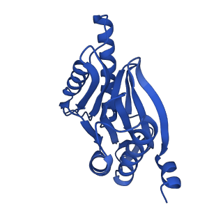 4877_6rgq_L_v1-2
Human 20S Proteasome