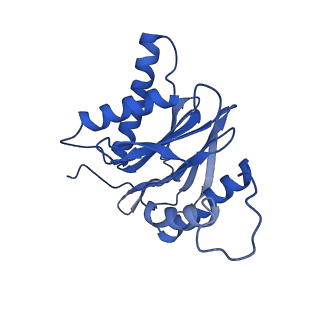 4877_6rgq_M_v1-2
Human 20S Proteasome
