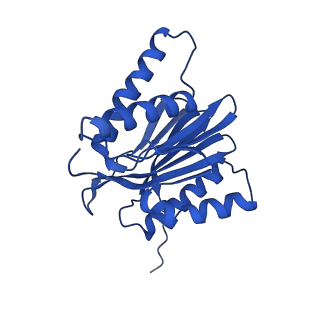 4877_6rgq_N_v1-2
Human 20S Proteasome