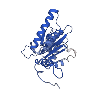4877_6rgq_O_v1-2
Human 20S Proteasome