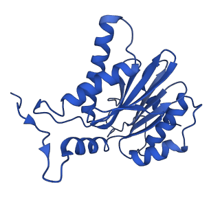 4877_6rgq_P_v1-2
Human 20S Proteasome