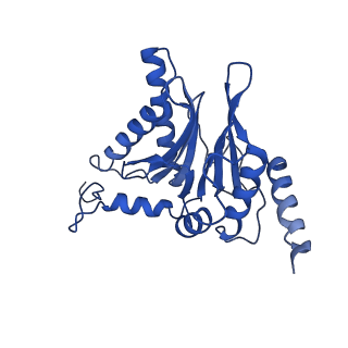 4877_6rgq_Q_v1-2
Human 20S Proteasome
