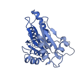 4877_6rgq_R_v1-2
Human 20S Proteasome