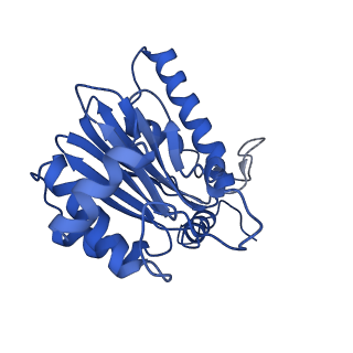4877_6rgq_S_v1-2
Human 20S Proteasome