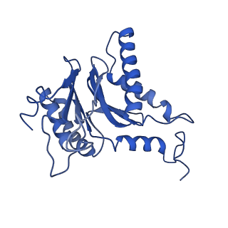 4877_6rgq_T_v1-2
Human 20S Proteasome