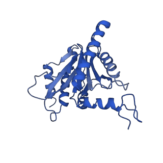 4877_6rgq_U_v1-2
Human 20S Proteasome