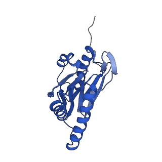 4877_6rgq_V_v1-2
Human 20S Proteasome
