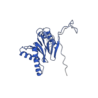 4877_6rgq_W_v1-2
Human 20S Proteasome
