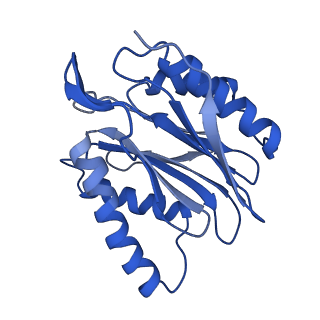 4877_6rgq_X_v1-2
Human 20S Proteasome
