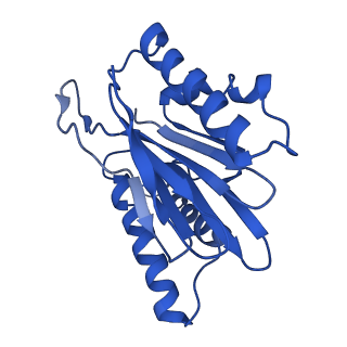 4877_6rgq_Y_v1-2
Human 20S Proteasome