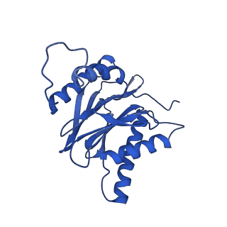 4877_6rgq_a_v1-2
Human 20S Proteasome