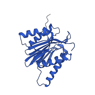 4877_6rgq_b_v1-2
Human 20S Proteasome