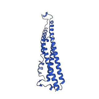 19177_8rhn_A_v1-0
Structure of the 55LCC ATPase complex