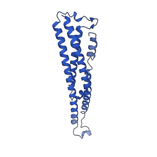 19177_8rhn_B_v1-0
Structure of the 55LCC ATPase complex