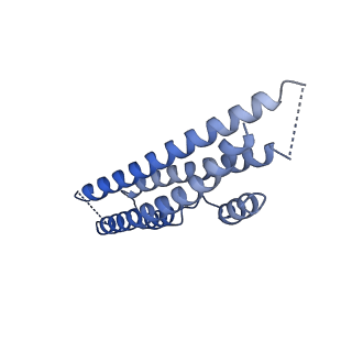 19177_8rhn_C_v1-0
Structure of the 55LCC ATPase complex