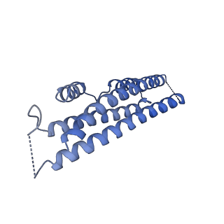 19177_8rhn_D_v1-0
Structure of the 55LCC ATPase complex