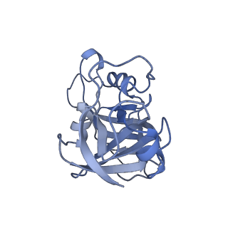 19177_8rhn_E_v1-0
Structure of the 55LCC ATPase complex