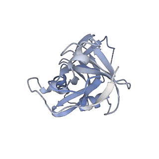 19177_8rhn_H_v1-0
Structure of the 55LCC ATPase complex