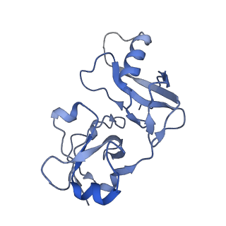 19177_8rhn_I_v1-0
Structure of the 55LCC ATPase complex