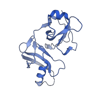 19177_8rhn_J_v1-0
Structure of the 55LCC ATPase complex
