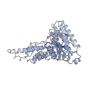 19177_8rhn_K_v1-0
Structure of the 55LCC ATPase complex