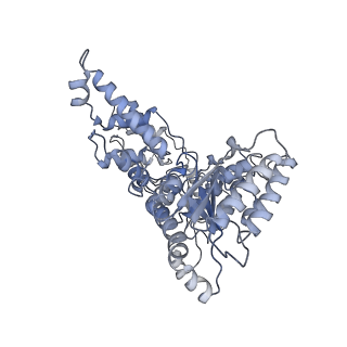 19177_8rhn_L_v1-0
Structure of the 55LCC ATPase complex