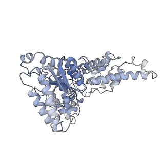 19177_8rhn_M_v1-0
Structure of the 55LCC ATPase complex