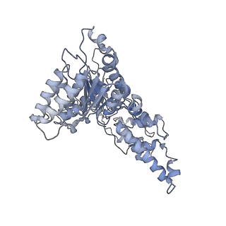 19177_8rhn_N_v1-0
Structure of the 55LCC ATPase complex