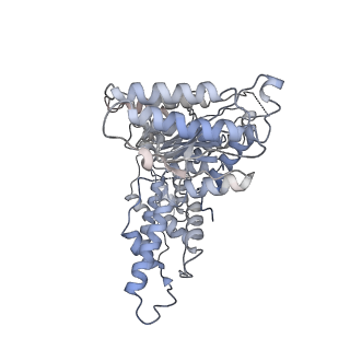 19177_8rhn_O_v1-0
Structure of the 55LCC ATPase complex