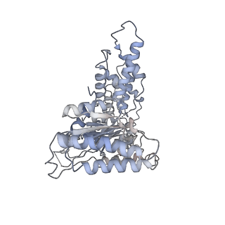 19177_8rhn_P_v1-0
Structure of the 55LCC ATPase complex