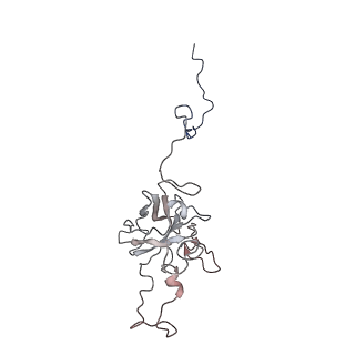 24455_7rh5_D_v1-0
Mycobacterial CIII2CIV2 supercomplex, Inhibitor free