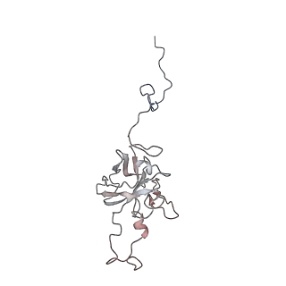 24455_7rh5_D_v2-0
Mycobacterial CIII2CIV2 supercomplex, Inhibitor free