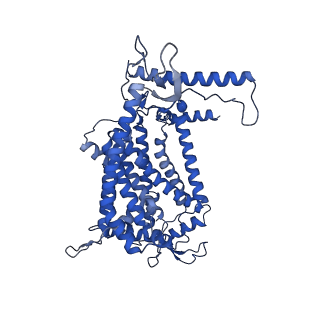 24455_7rh5_E_v1-0
Mycobacterial CIII2CIV2 supercomplex, Inhibitor free